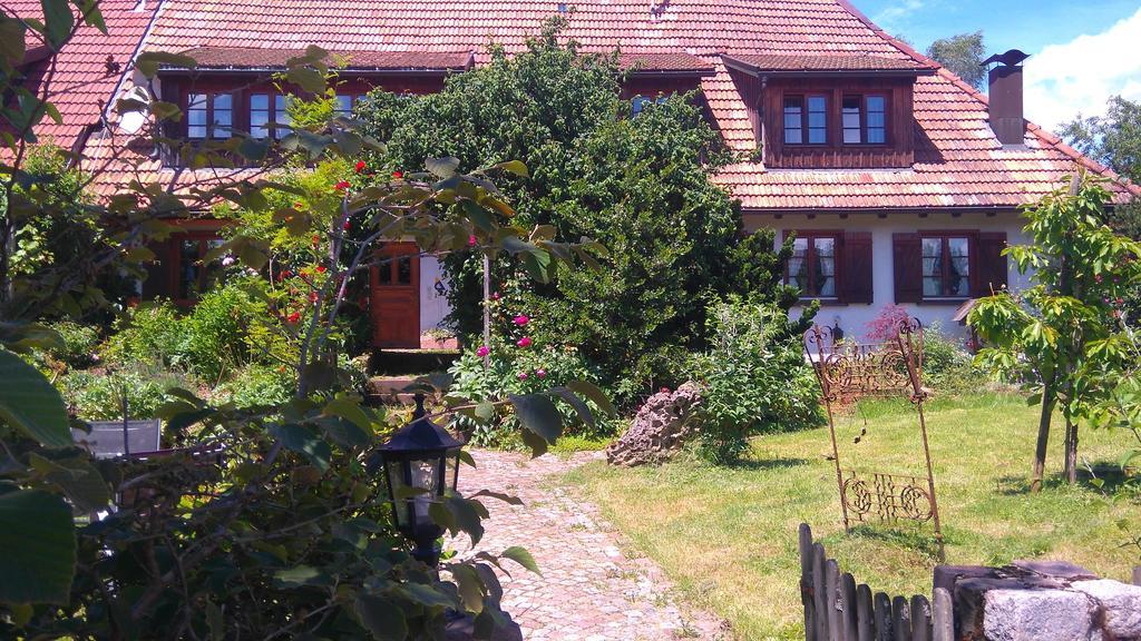 Appartamento Schweizerblick Hänner Esterno foto